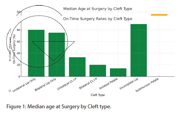 Median Age