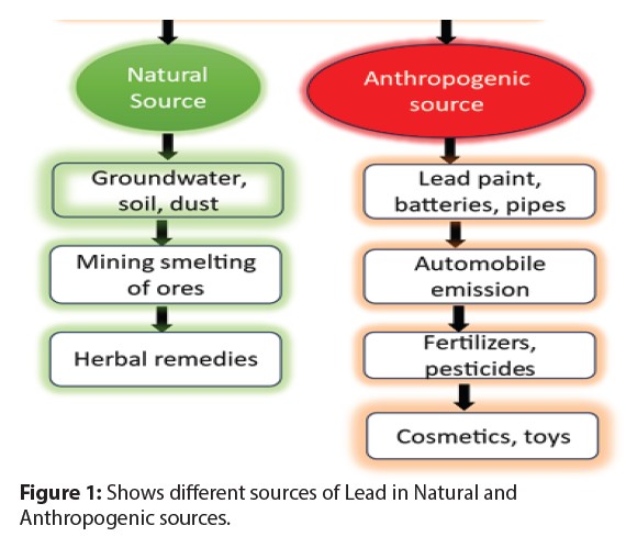Lead sources