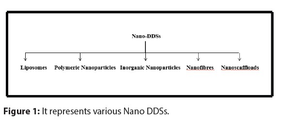 Nano Drug Selivery Systems