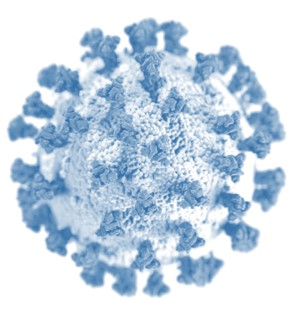 COVID article neurological implications