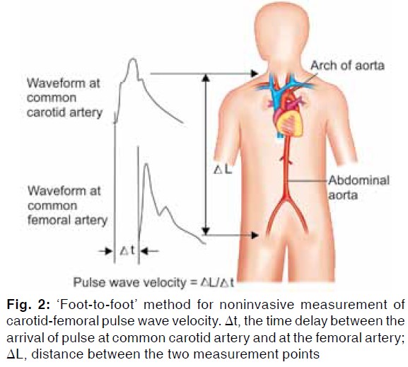 Hypertension Journal 1.2.4