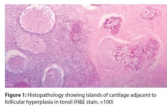 Histopathology