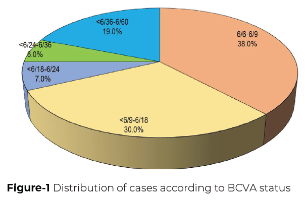 Distribution of cases according to BCVA status
